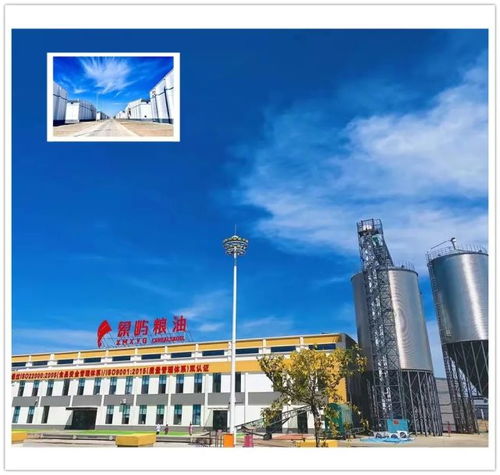 喬府金谷集采聯盟合作工廠的風采展示 持續更新中