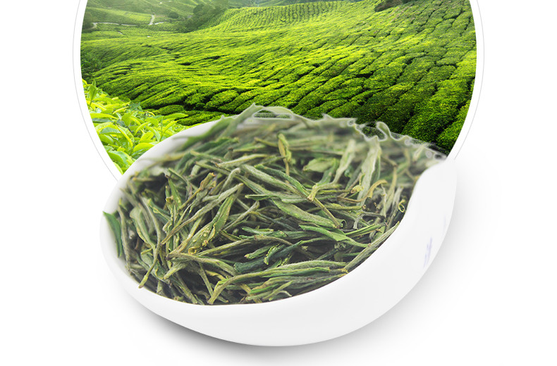龍合 新茶春茶安徽正宗黃山毛峰毛尖一級(jí)雨前毛峰250g罐裝精品茶葉
