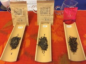 長江零公里的觀山茶會(huì) 以茶會(huì)友何嘗不是回歸生活的嘗試