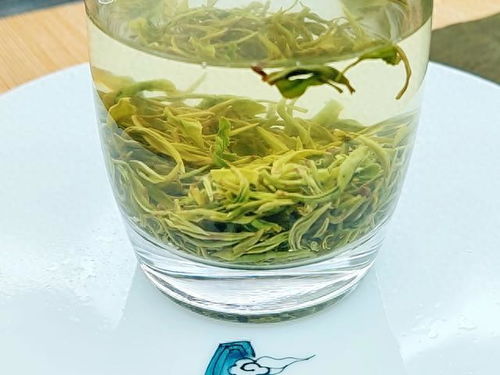 2023綠茶聯(lián)賽，江西隊(duì)出戰(zhàn)之狗牯腦茶登場