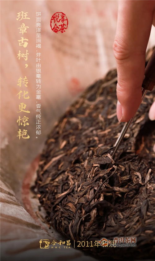 品味經(jīng)典的歲月留芳——合和昌茶業(yè)與昌聯(lián)茶葉的傳承與創(chuàng)新